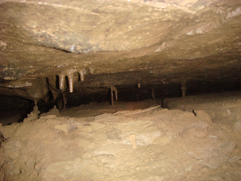 Image: /media/?path=/trips/2007-12-01 Gage Caverns/20071201-154234-0.jpg